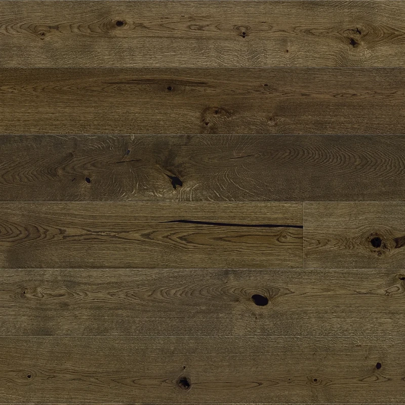 Stejar Bonet Grande photo2